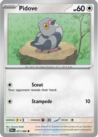 Pidove - 073/086 73 - SV Black Bolt