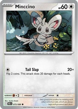 Minccino - 077/086 77 - SV Black Bolt